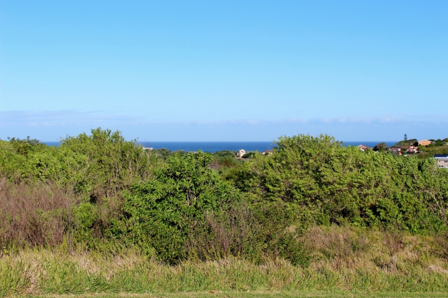 0 Bedroom Property for Sale in Forest Downs Eastern Cape